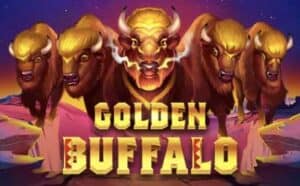 Golden Buffalo